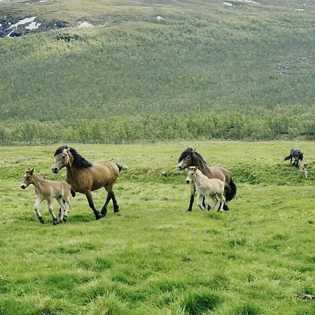Skabu Camping 4* Skåbu